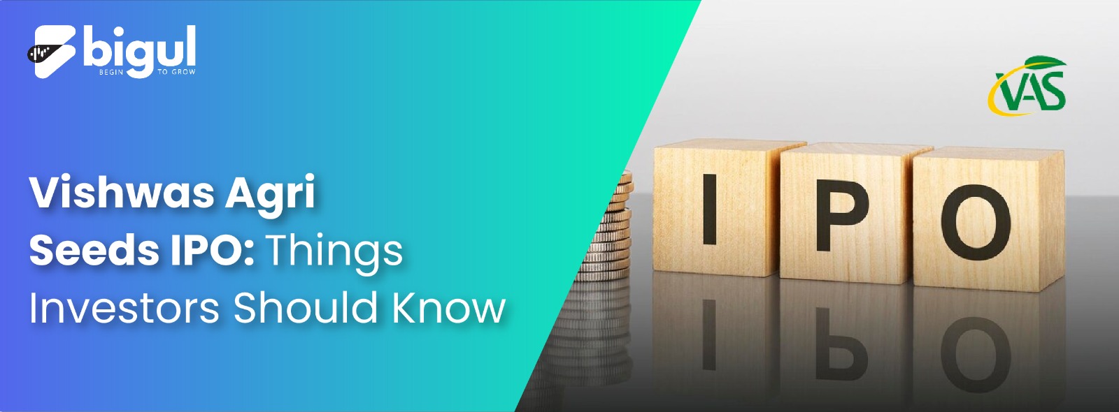 Vishwas Agri Seeds Seeds IPO: Things Investors Should Know